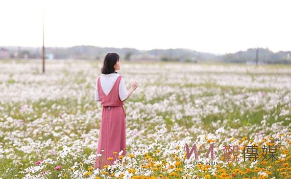 迎接花海生活節    嘉義遍地白雪打卡熱點