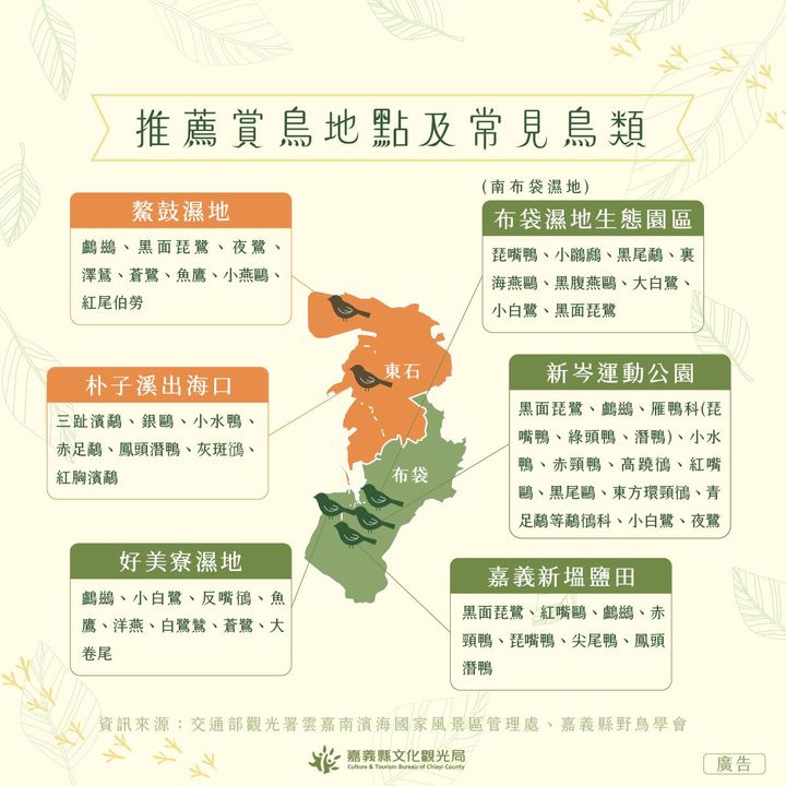 嘉義沿海濕地看夕陽、吃美食、賞候鳥 一次滿足!