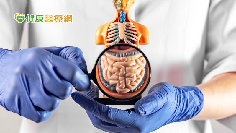 大腸鏡怎麼檢查、會不會痛? AI輔助揪出潛「腸」危機