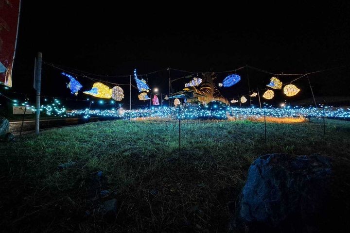 「2023礁溪溫泉燈花季」絢麗登場 光影藝術饗宴越夜越美