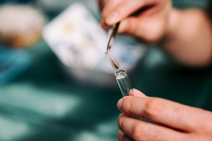 蓬鬆呆萌的換羽期企鵝超可愛 海生館「我與企鵝的0.1毫米」開放預約