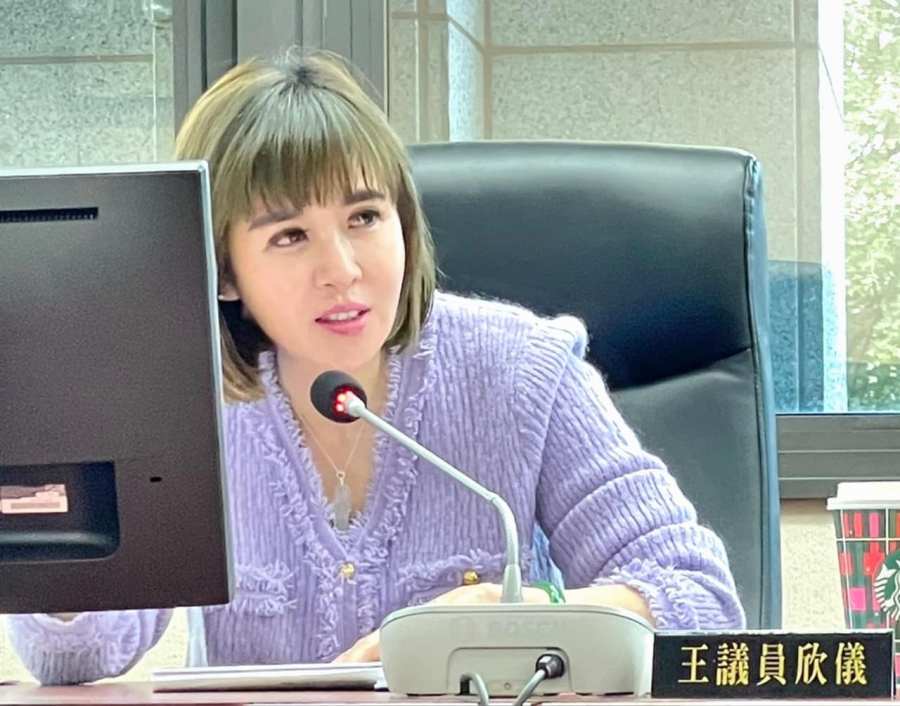 全國高中英文作文比賽排除部份國民參賽 議員批中央腦袋裝水泥 298 王欣儀。(王欣儀FB)