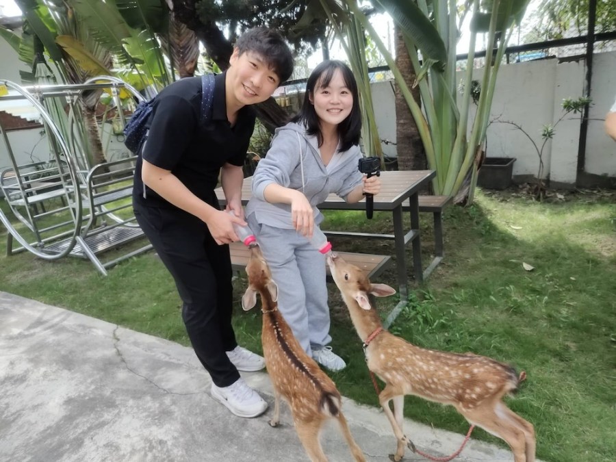 台南鹿場難忘體驗 韓國網紅英玹大啖韓國吃不起的貴族食材 281 cnews124231127a01