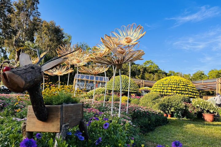 「打開菊園品菊之藝」展現不同型態的菊花之美。 圖:臺北市政府工務局/提供