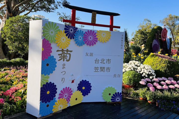 藝遊未盡!士林官邸菊展13區20萬盆呈現菊藝生活