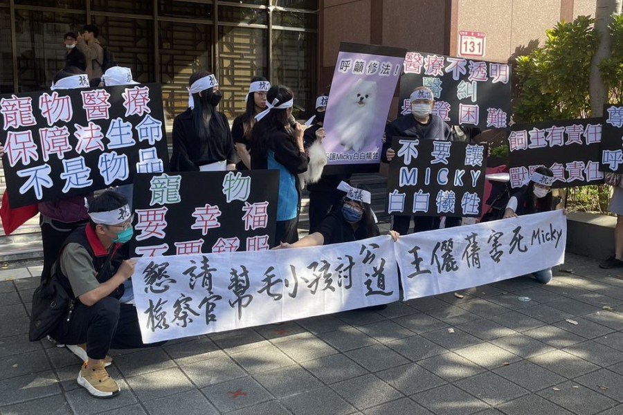 網紅貓狗被醫死 北檢開庭飼主籲修法保障寵物醫療 218 網紅貓狗被醫死 北檢開庭飼主籲修法保障寵物醫療 217