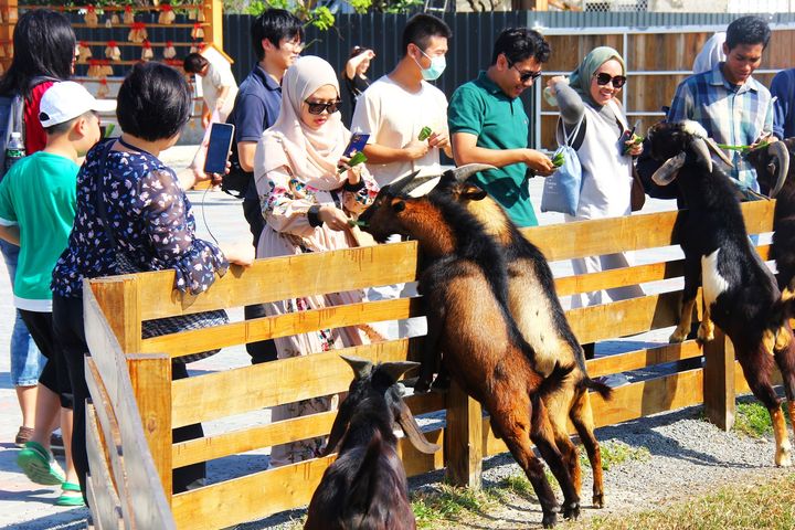 戀戀大鵬灣！啟動清真認證規劃體驗遊程 穆斯林網紅高度滿意推薦