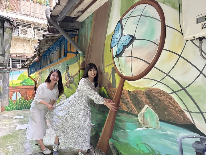 在城市裡遇見海豚？快到新北市的巷弄展開奇幻之旅