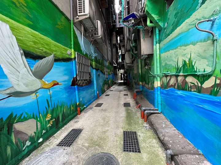 在城市裡遇見海豚？快到新北市的巷弄展開奇幻之旅