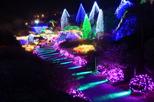 晨靜樹木園五色星光庭園展 (2).jpg