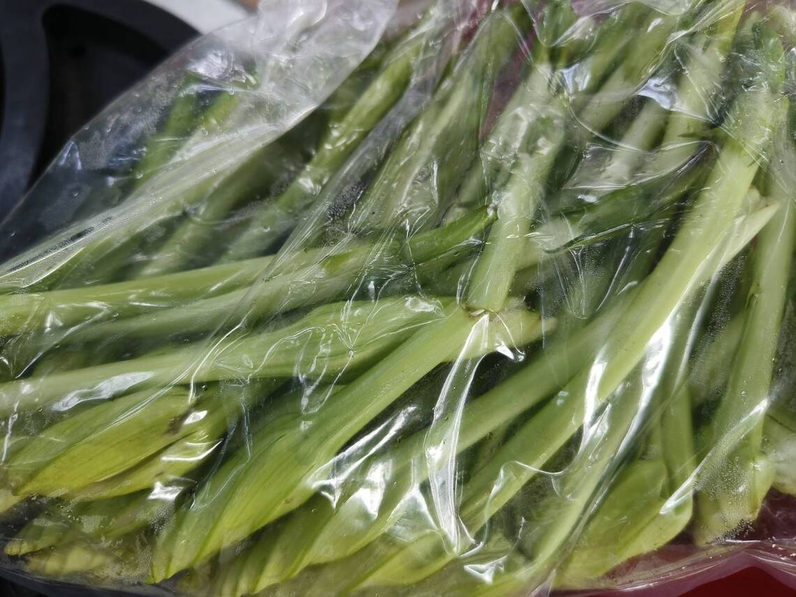 黃昏開花的夕顏，又叫做月光菜 