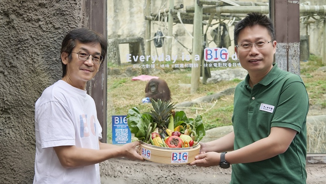魏導《BIG》熱映中 壽山動物園紅毛猩猩首次躍上大銀幕