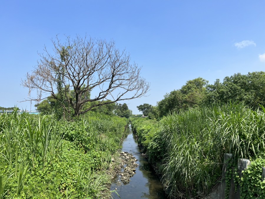 優化海埔排水系統 南市府打造防洪、交通與生態三贏整治建設 241