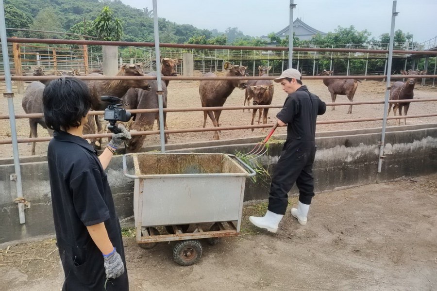 【有影】養鹿真的很辛苦 金鐘入圍日本高志嘆變身養鹿職人經驗 308 【有影】養鹿真的很辛苦 金鐘入圍日本高志嘆變身養鹿職人經驗 307