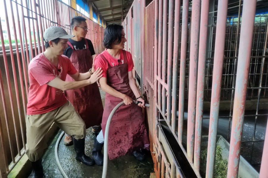 【有影】養鹿真的很辛苦 金鐘入圍日本高志嘆變身養鹿職人經驗 310 【有影】養鹿真的很辛苦 金鐘入圍日本高志嘆變身養鹿職人經驗 309