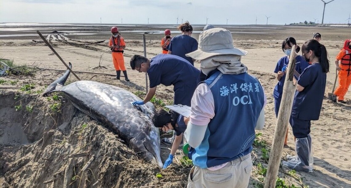 心懷海洋  勇敢向大海前進吧!「海洋保育巡查員」甄試今日公告錄取名單
