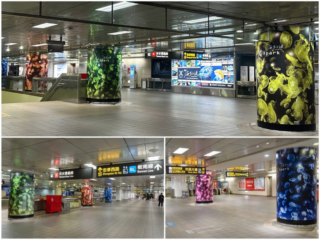 Xpark 365種海生之道_水母萬花筒繽紛現身台北車站