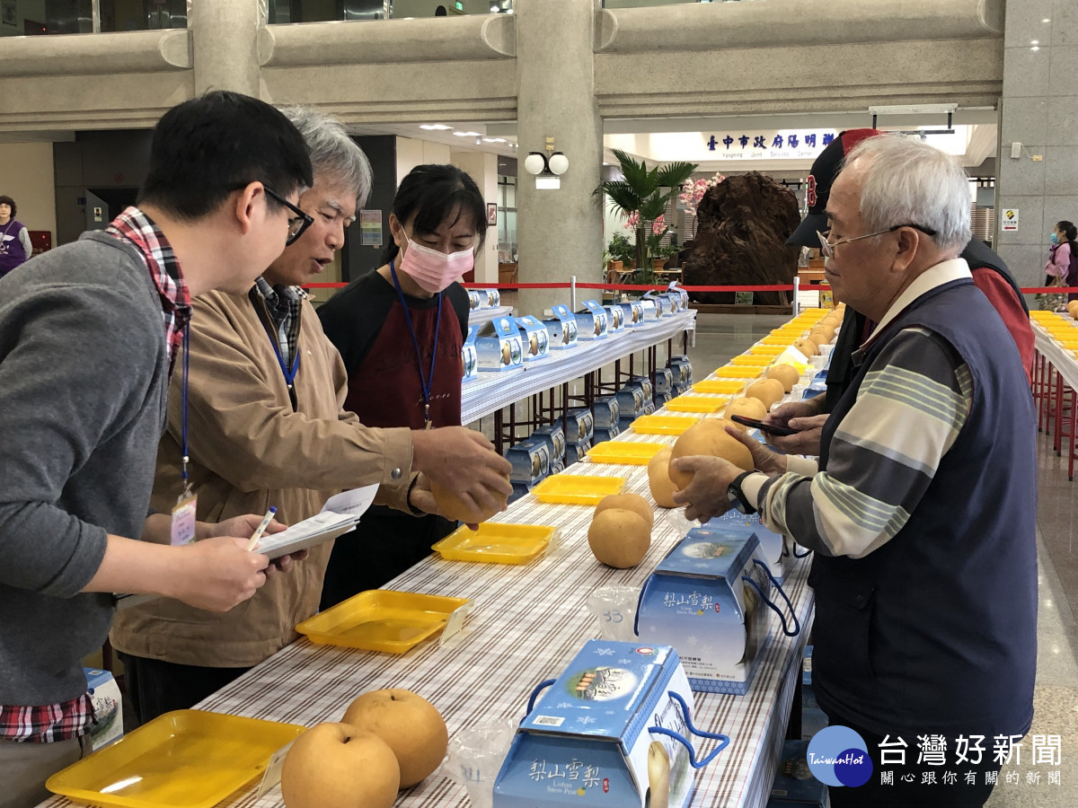 雪梨果品外觀評鑑