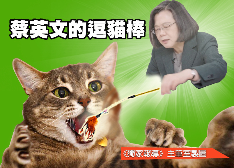 獨家快評/蔡總統的逗貓棒(石雨鑫)