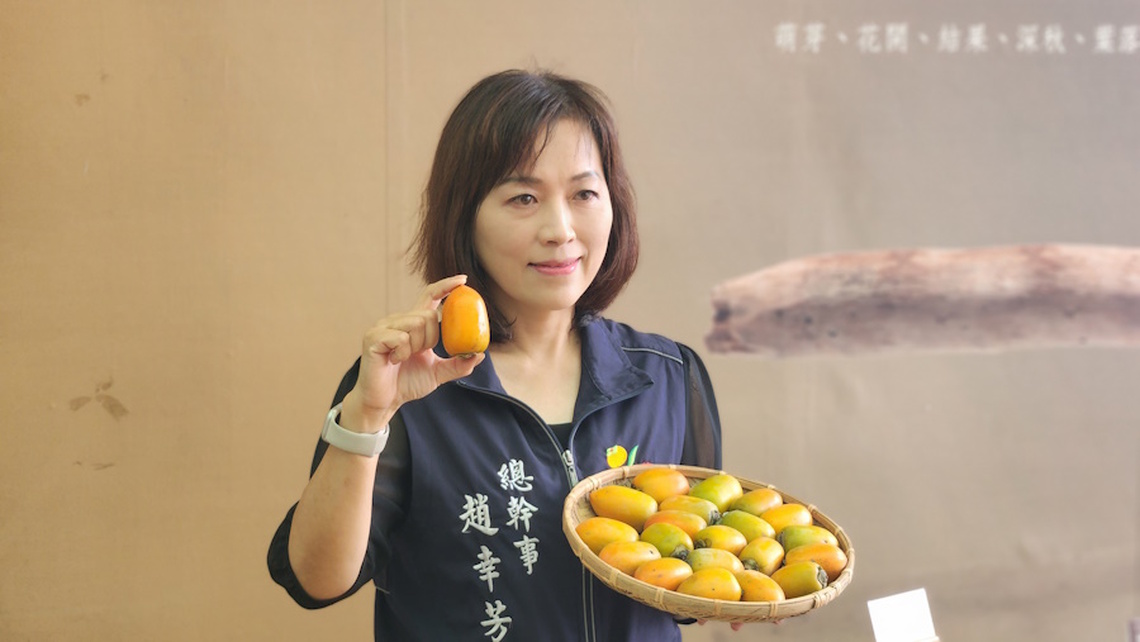 嘉義番路全台最大的柿子產地柿餅新驚喜！頂尖筆柿餅即將登場