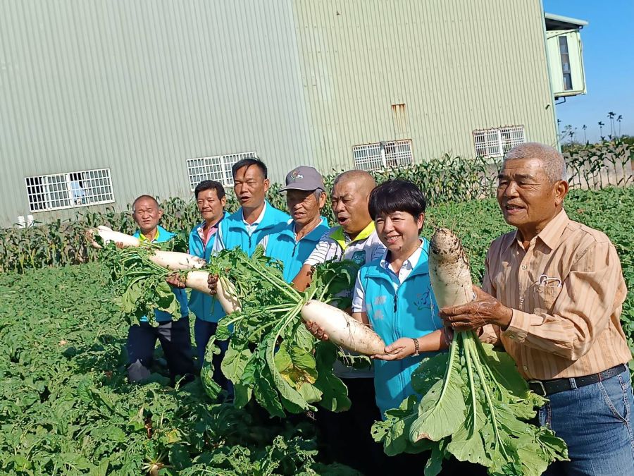 田尾鄉客家蘿蔔節來了 12/9一起來嘿呦嘿呦拔蘿蔔!