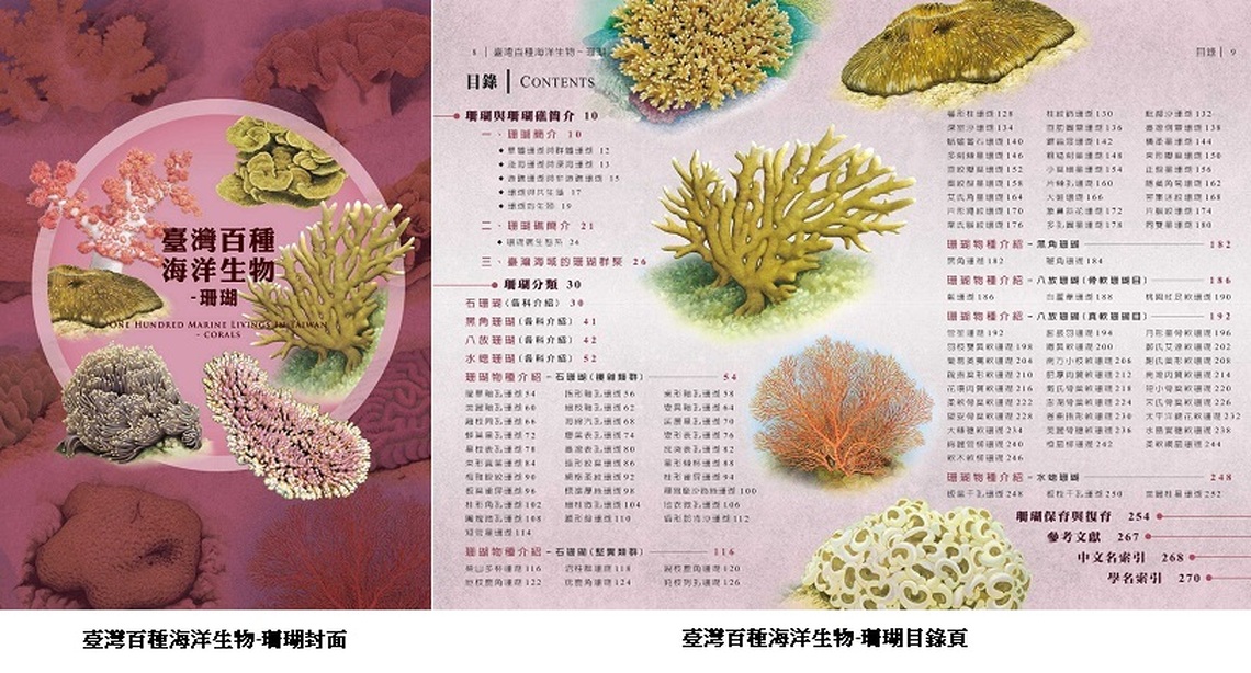 海洋生物圖鑑第四冊《臺灣百種海洋生物-珊瑚》重磅登場！一同揭開海洋瑰寶珊瑚神秘面紗