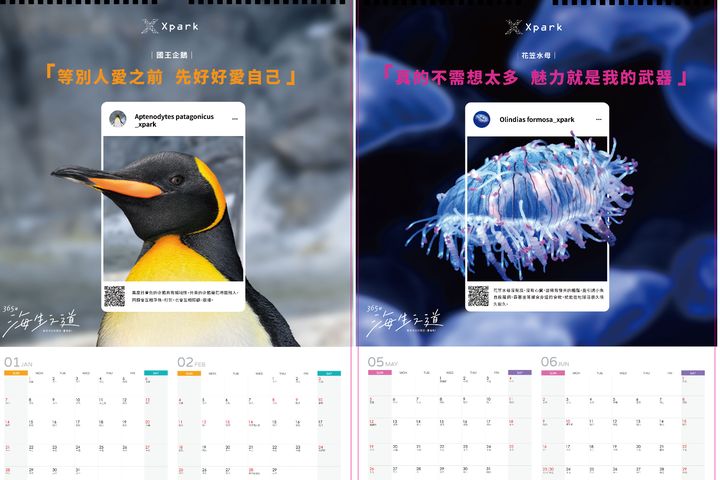 Xpark推「365種海生之道」新主題 療育海洋生物影片上線