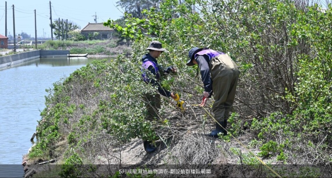 雲縣府推動濕地標章認證 升級濕地產業2.0