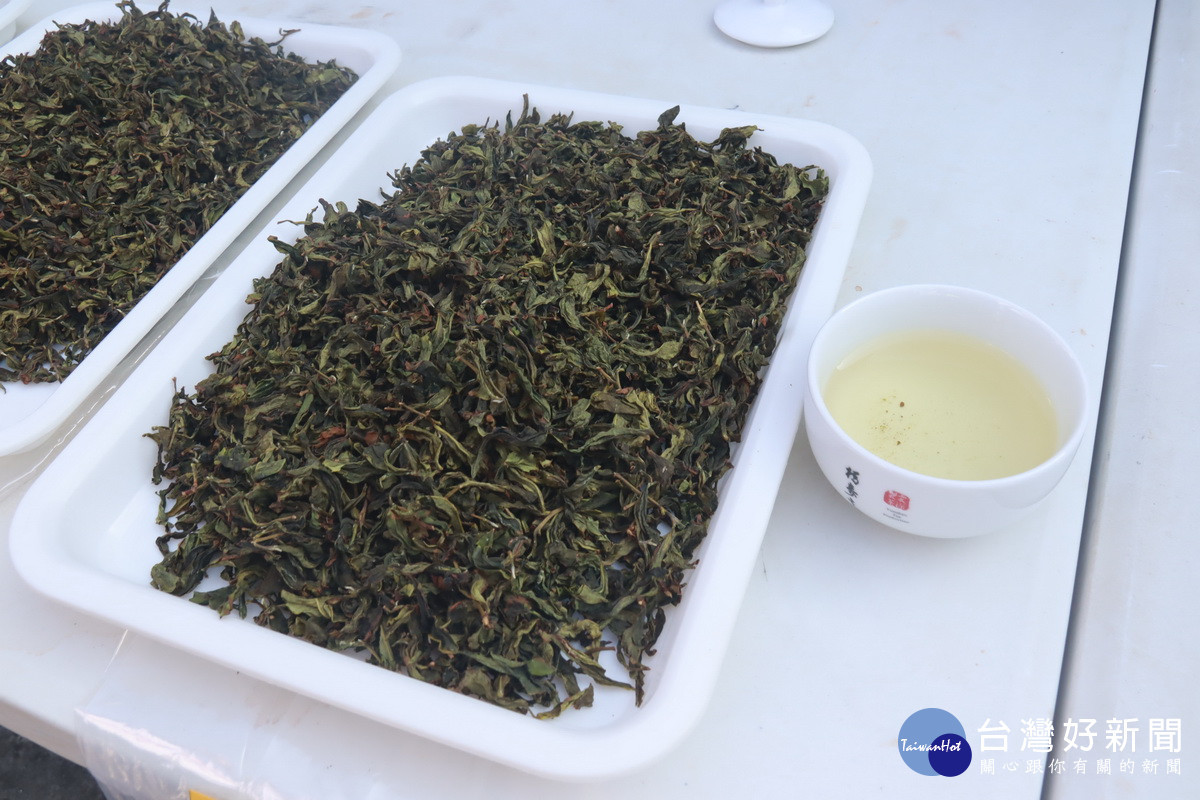 冠軍茶呈現茉莉花香甜果香。(記者扶小萍攝)