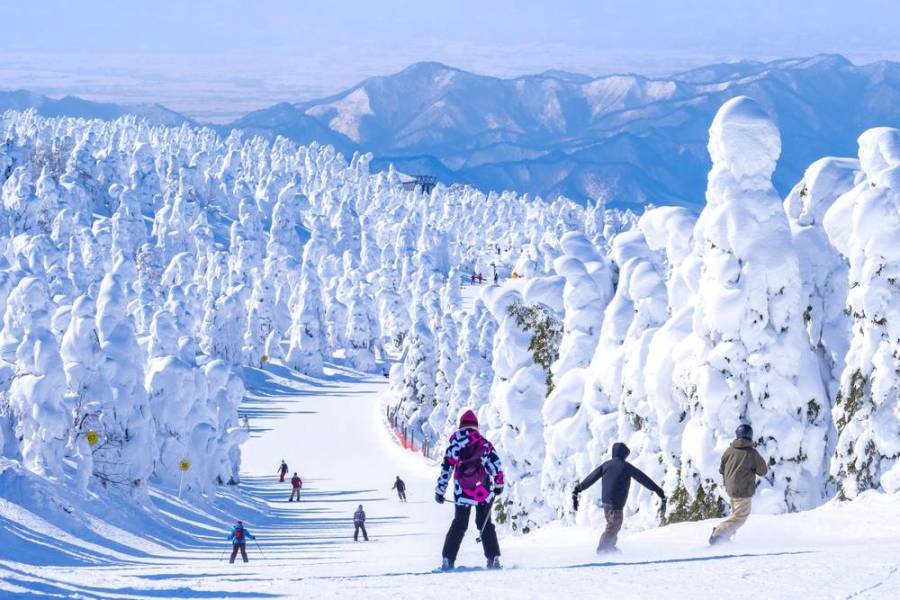 日本深度旅遊一站滿足 華航生日慶飛出「星」視野 206 日本深度旅遊一站滿足 華航生日慶飛出「星」視野 205