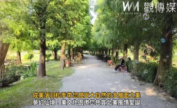 (有影片)/隨色彩的腳步!成美落羽松季帶您感受大自然的多層面之美