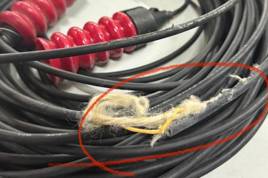 大巨蛋爆鼠患啃咬轉播設備線材 許淑華:擔心影響今晚中日大戰 252 大巨蛋爆鼠患啃咬轉播設備線材 許淑華:擔心影響今晚中日大戰 251