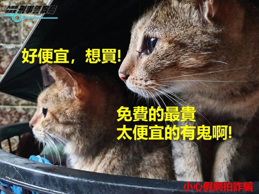 三方詐欺新手法網購剝2層皮 買家收不到貨反成人頭帳戶 246 cnews204231210a04
