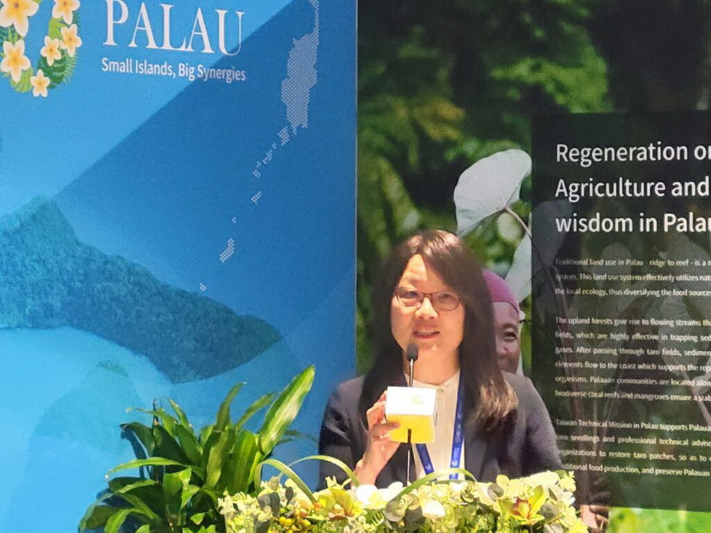 中鼎集團永續長何麗嫺出席COP28聯合國氣候變遷大會,並於「臺灣綠色經濟發展經驗」論壇發表演說。