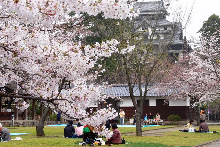 2023金旅獎優旅選/金鳳凰質感保證 江南、江西、東澳、埃及、日本七遊程獲青睞