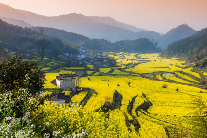 2023金旅獎優旅選/金鳳凰質感保證 江南、江西、東澳、埃及、日本七遊程獲青睞