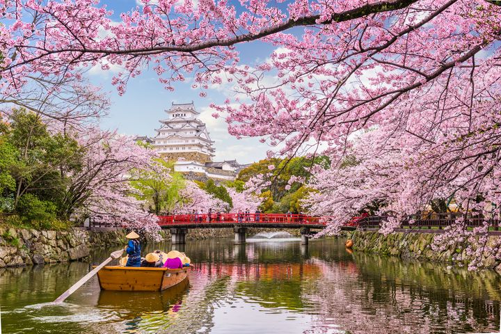 春遊日本,別錯過與櫻花來場浪漫相遇。 圖:shutterstock/來源