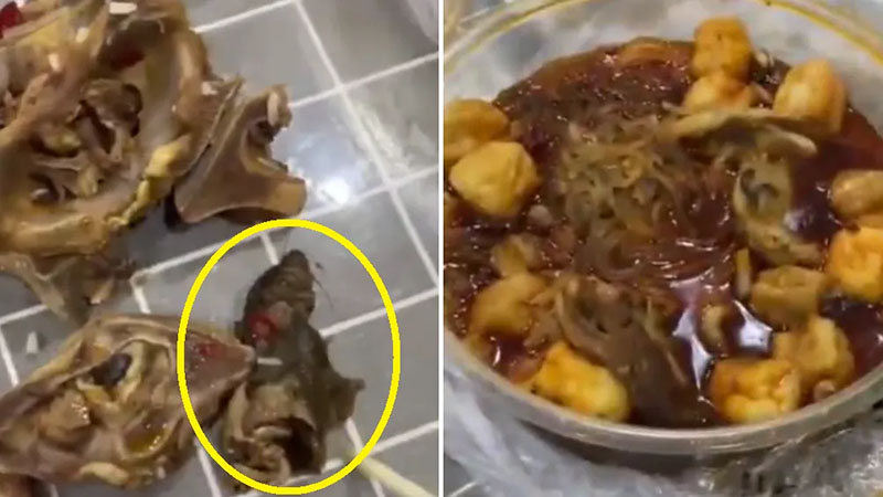 圖/翻攝微博 江蘇鹽城射陽縣