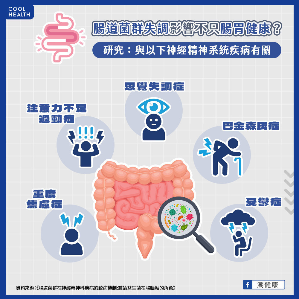 腸道菌與失智症有關? 研究稱與丁酸菌、瘤胃球菌有關 腸道菌與失智症有關? 研究稱與丁酸菌、瘤胃球菌有關