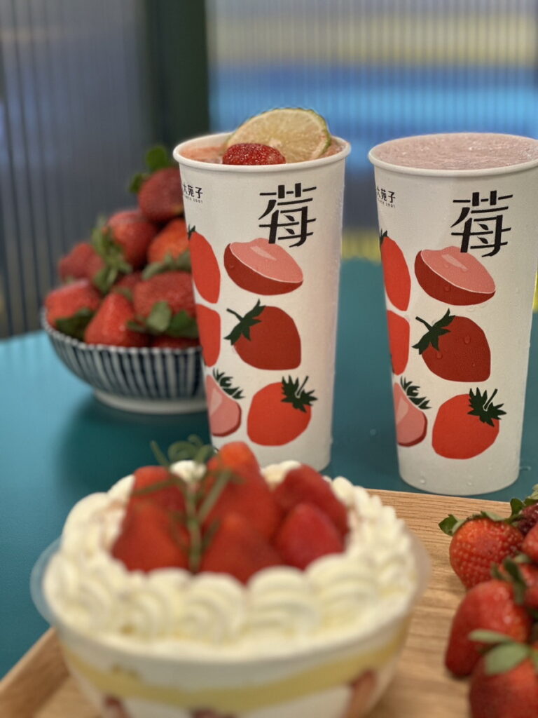 大苑子草莓季搶鮮起跑 