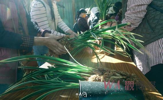 來自上天的眷顧! 魚池鄉三寶再加一咖歡迎來體驗