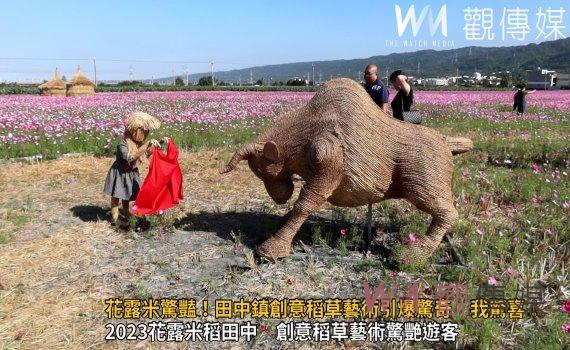 (有影片)/花露米驚豔!田中鎮創意稻草藝術引爆驚奇 我驚喜!