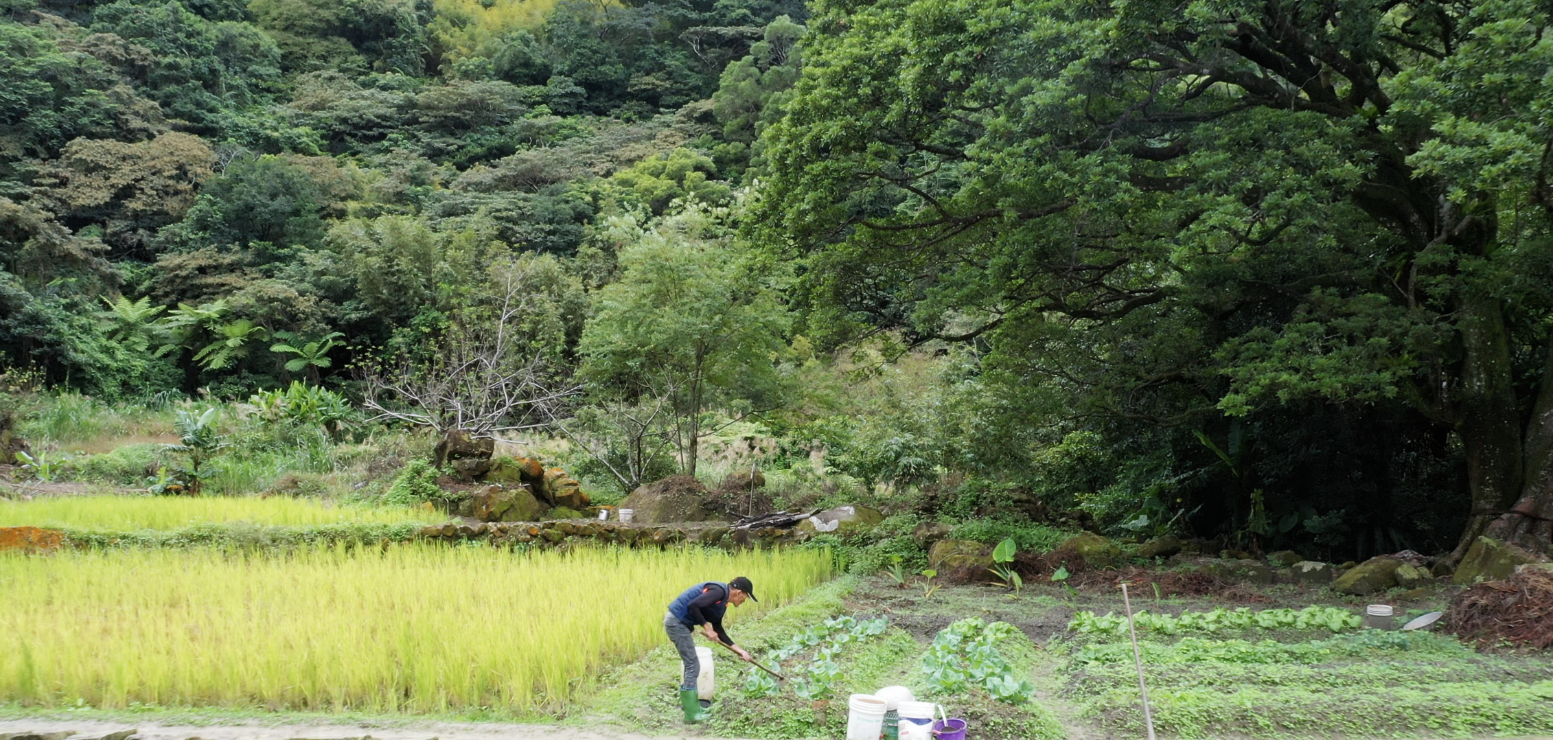 「微笑農村」農遊之旅，體驗新北106軸帶的鄉村魅力
