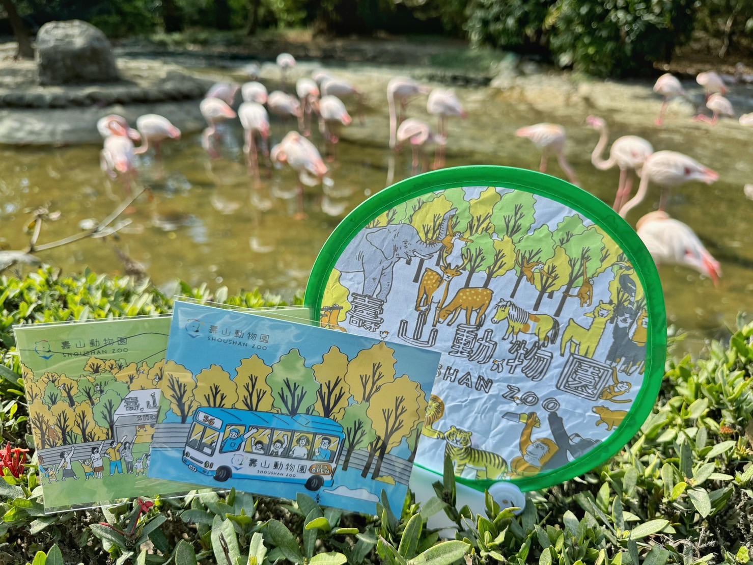 壽山動物園商品與頑皮世界紅鶴同框合影(頑皮世界提供)