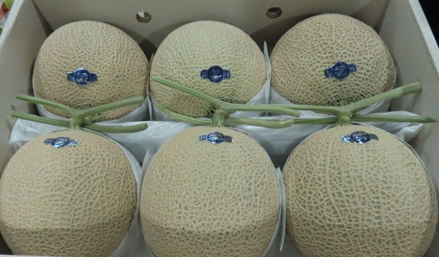 好市多又出包！美國進口烘焙「牛油紙」恐汙染食物 111公斤銷毀 239