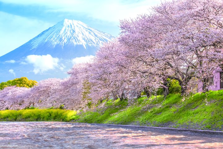 中華航空1/19~3/2期間高雄靜岡包機直飛。 圖:富士之國靜岡縣駐台辦事處/提供