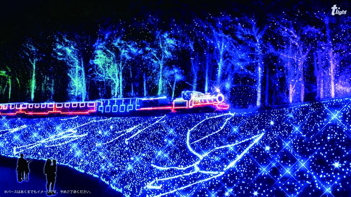 華航高雄靜岡包機直飛 5大旅行社推賞花、滑雪、溫泉全新玩法