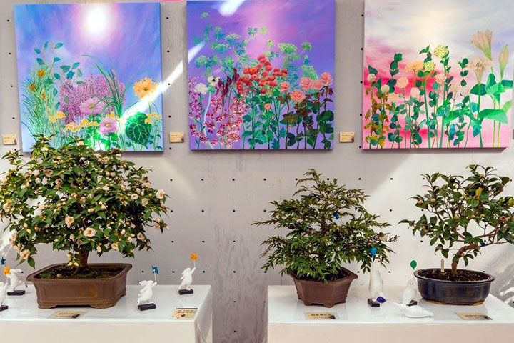 2024「花IN台北」首波花展由「台北茶花展」展開序幕。 圖:臺北市政府工務局公園路燈工程管理處/提供
