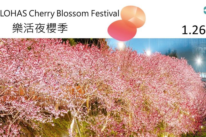 全城綻放/花展不間斷!「花IN台北聖誕樹」拍美照抽好禮