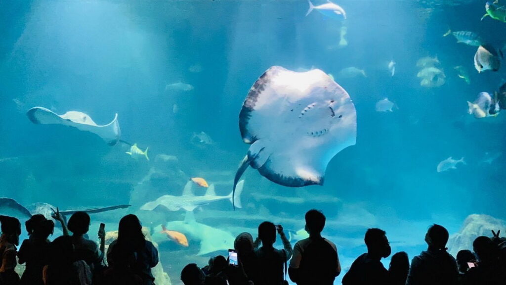 遠雄海洋公園園區